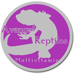 Avangel Reptile